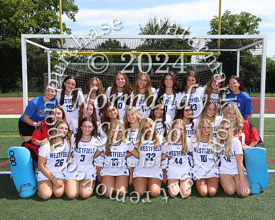 WHS_fh-v-t_402