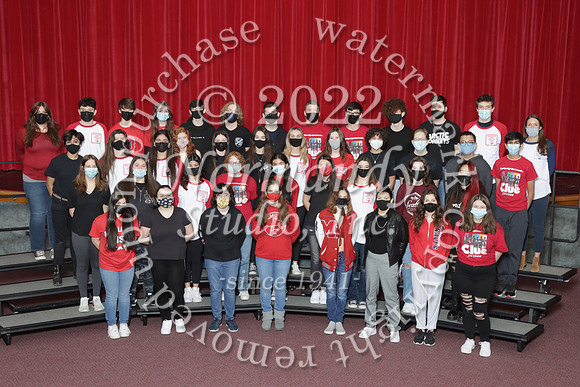 MNP_066_clubs