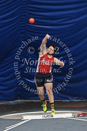MNP_024_wt-b