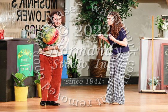 BER_71_little shop of horrors