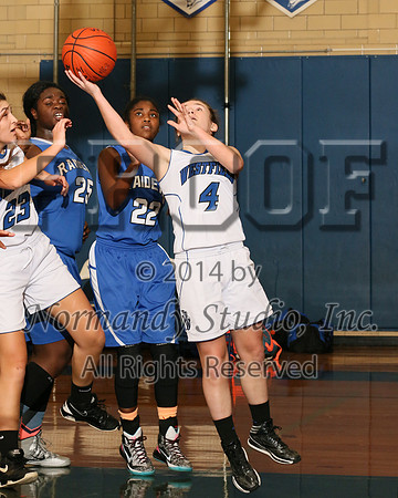 WHS_48_bb-g