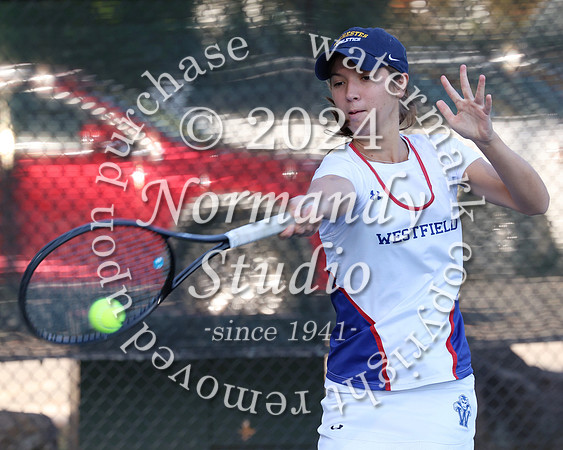 WHS_tn-g_28