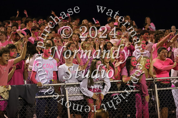 DVH_fans_29