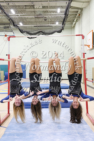 WHS_gy_131