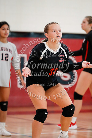 JAC_vb-g_39