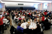MSM_tea_04