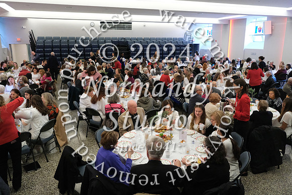MSM_tea_04
