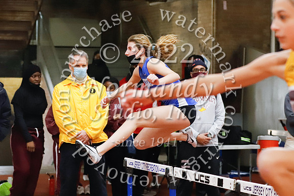 WHS_36_wt-g
