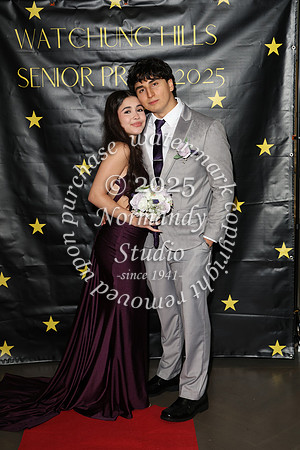 WTG_sr_prom_019
